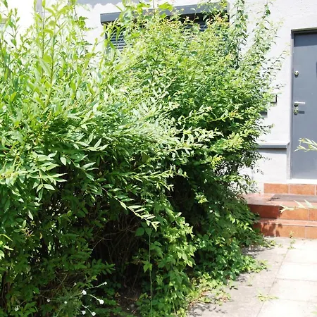 Kryjowka Meza Zawiercie