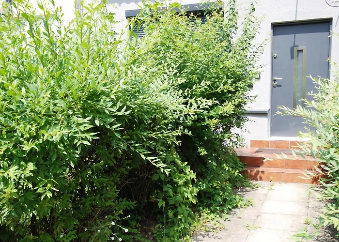 Kryjowka Meza Zawiercie